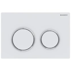 Geberit Omega20 Dual Flush Plate - White / Chrome