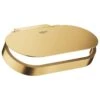 Grohe Selection Toilet Roll Holder With Cover - Brushed Cool Sunrise 2 Grohe Selection Toilet Roll Holder With Cover - Brushed Cool Sunrise -Home Bathroom grohe selection toilet roll holder with cover brushed cool sunrise 41069gn0